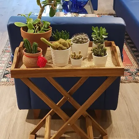 Lucerna 3* Castiglione della Pescaia