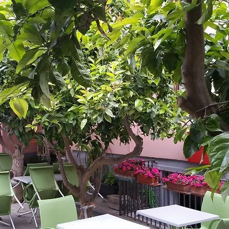Lucerna Hotel